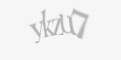 Защитный код