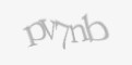 Защитный код